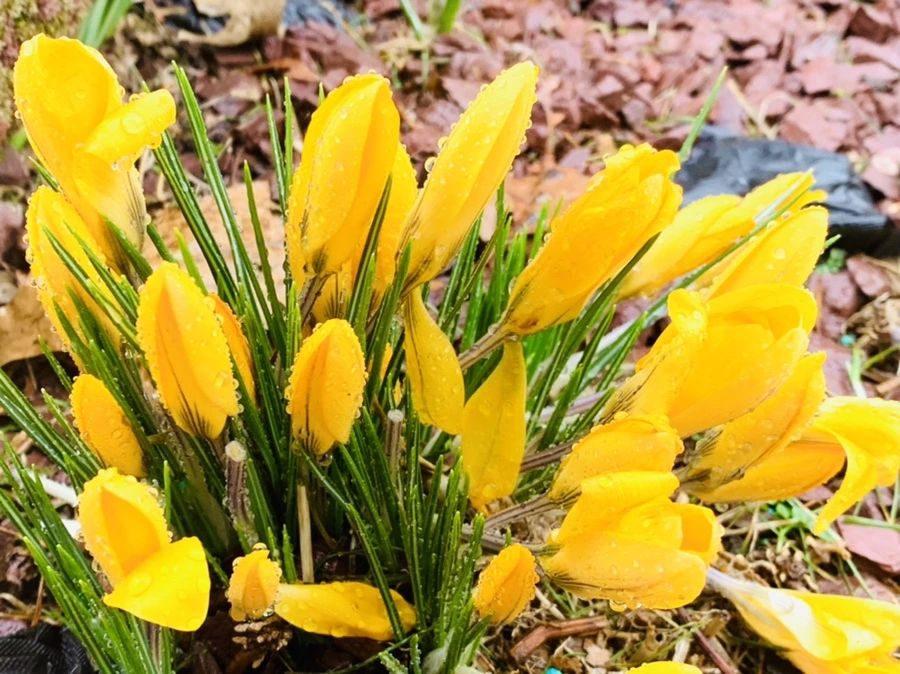 IMG_2023.jpg?type=w966