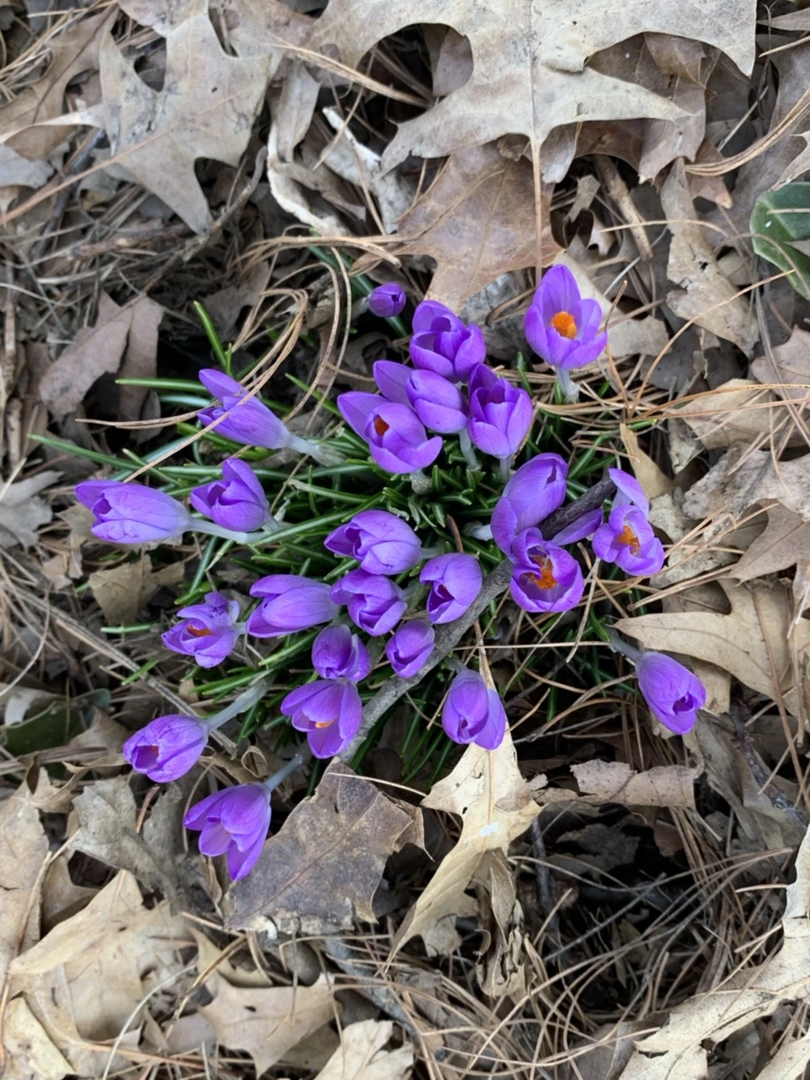 IMG_9711.jpg?type=w966