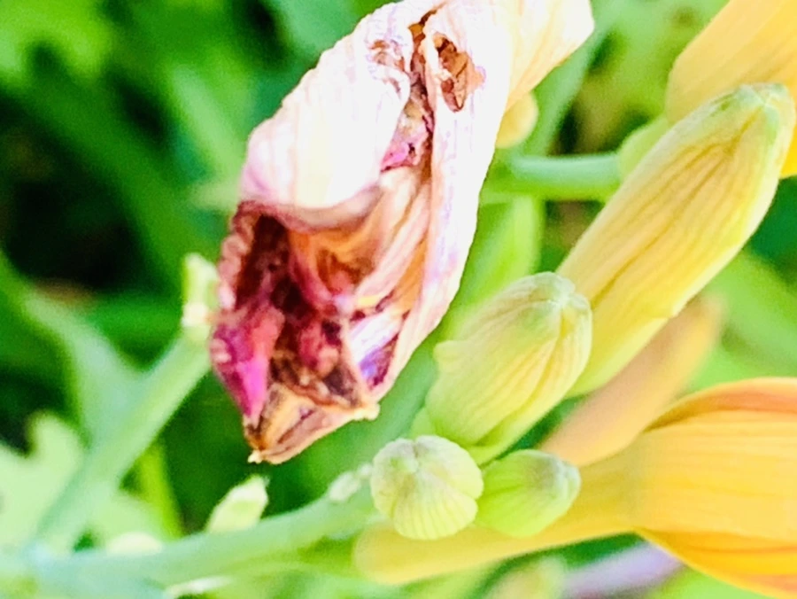 IMG_4875.jpg?type=w966