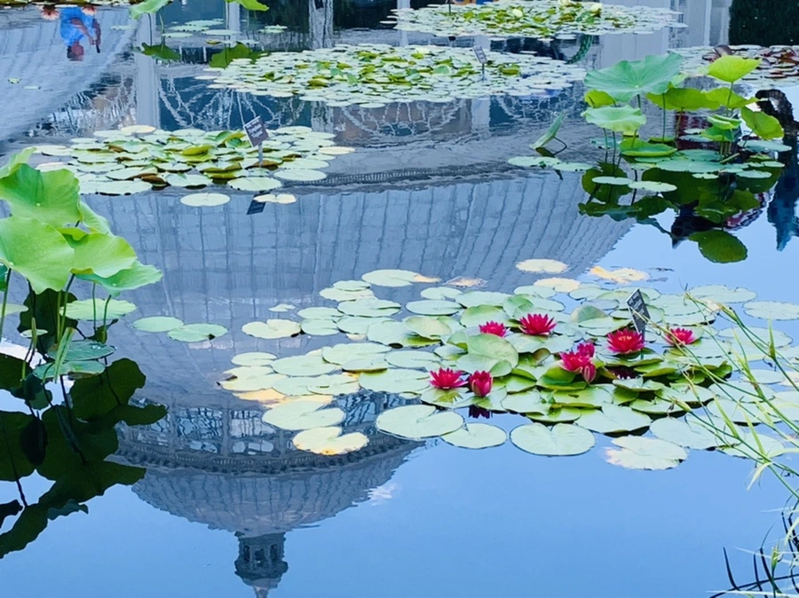 IMG_6732.jpg?type=w966