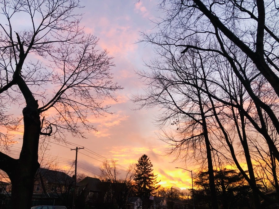 IMG_6862.jpg?type=w966