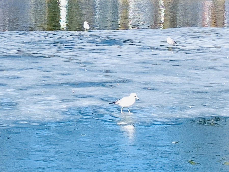 IMG_6978.jpg?type=w966