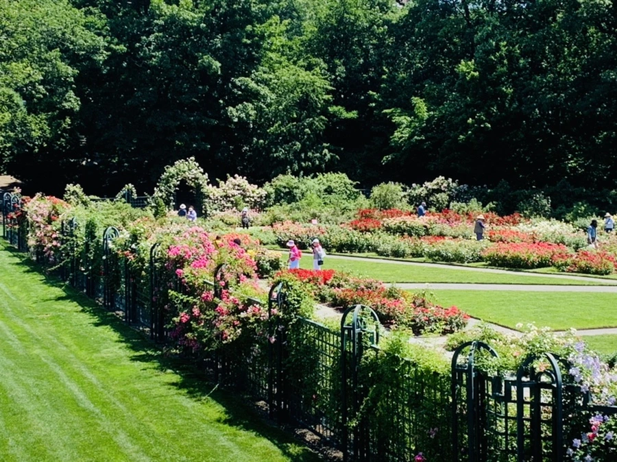 IMG_4118.jpg?type=w966