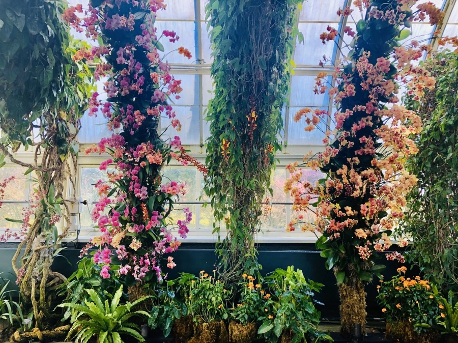 IMG_6296.jpg?type=w966