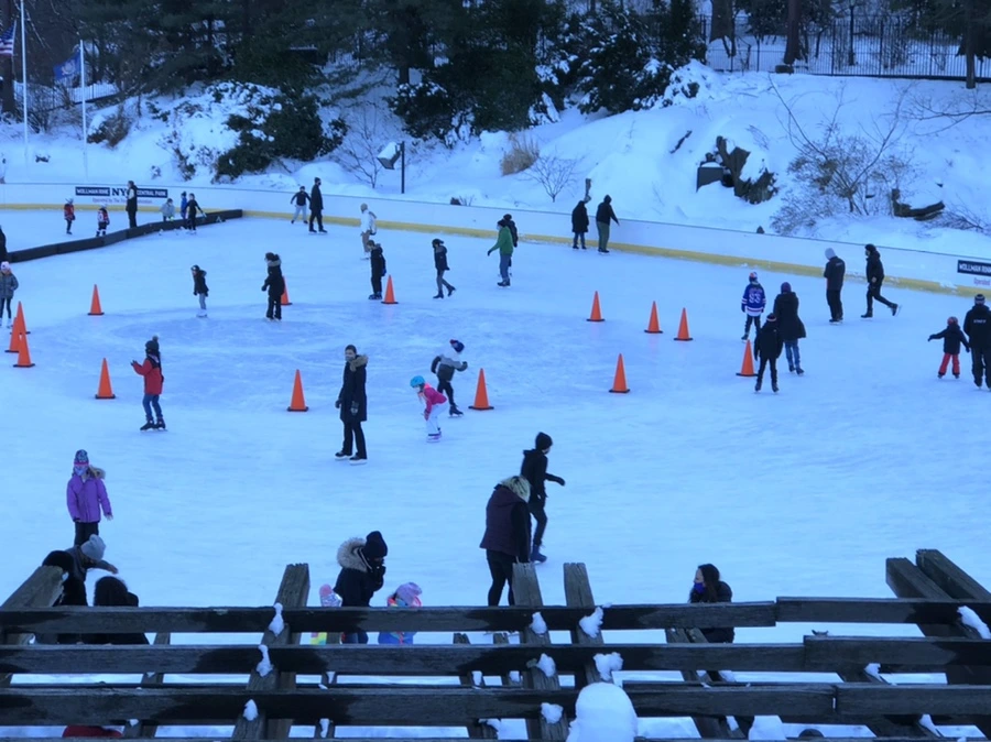 IMG_0019.jpg?type=w966