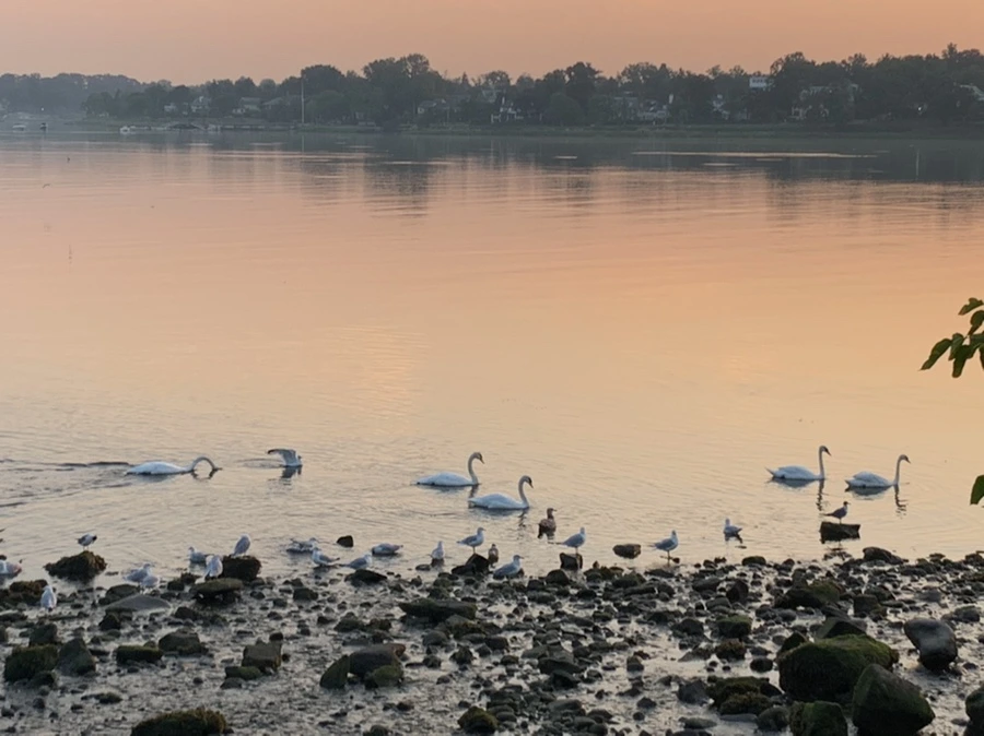 IMG_5076.jpg?type=w966