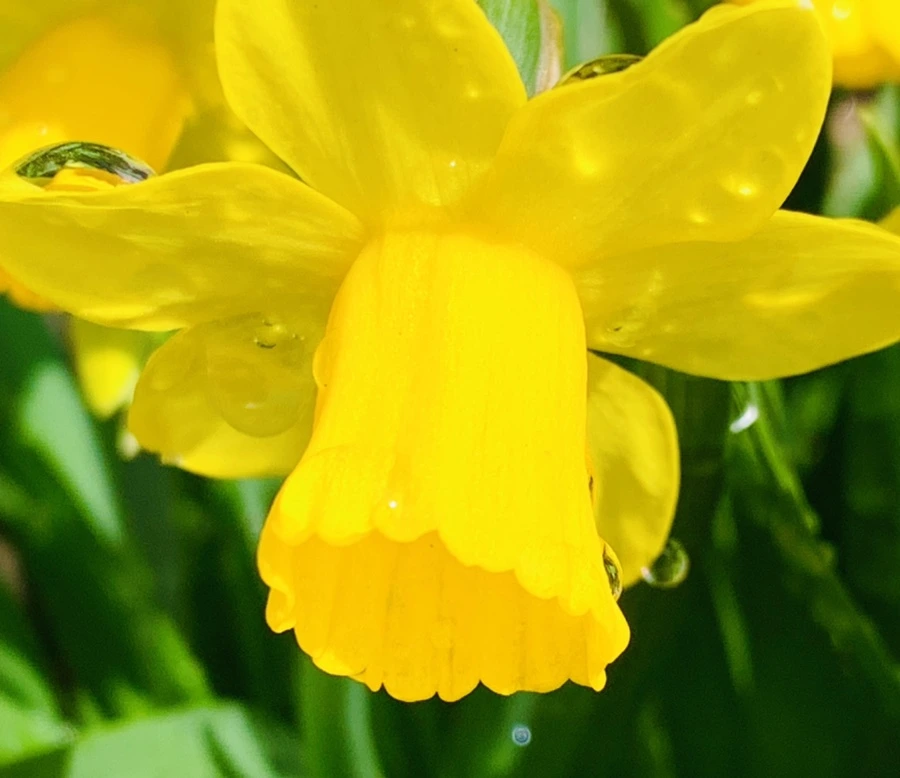 IMG_4024.jpg?type=w966