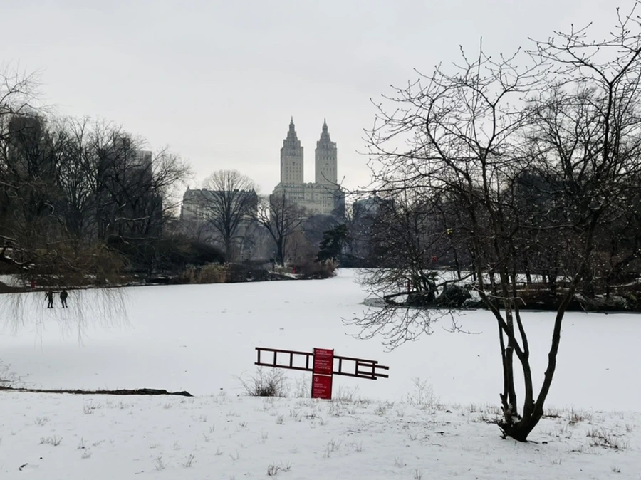 IMG_0763.jpg?type=w966