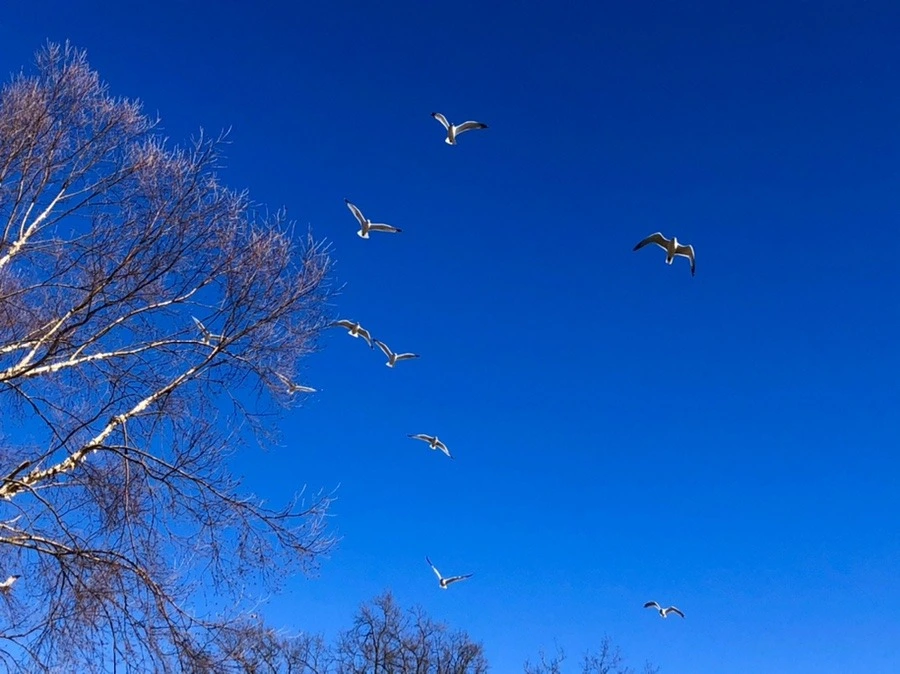 Hfz9eY4bRE2KpBh0sQkG9WZNMdQ