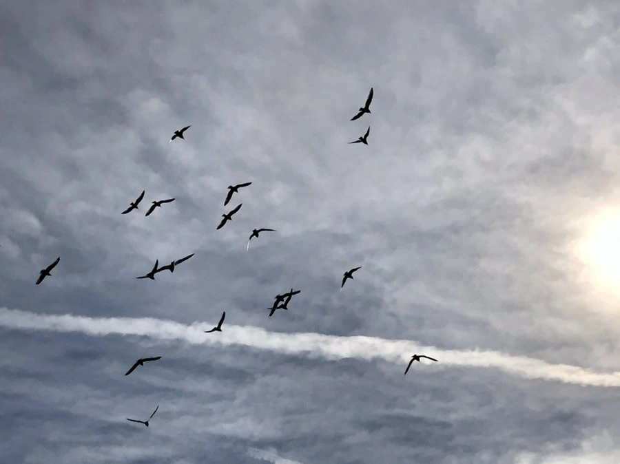 30c5m2vnlGhVuzxoku4KGSjnSzA