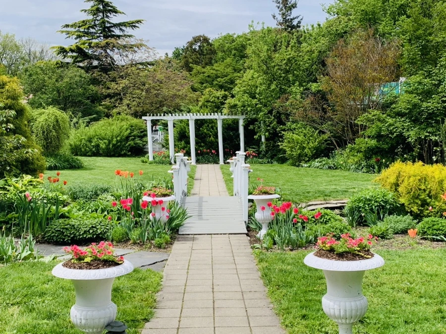 IMG_1293.jpg?type=w966