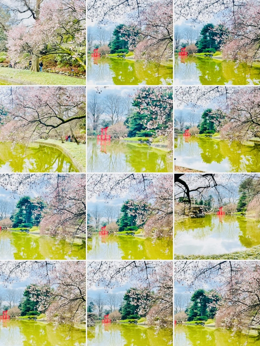 IMG_7555.jpg?type=w966