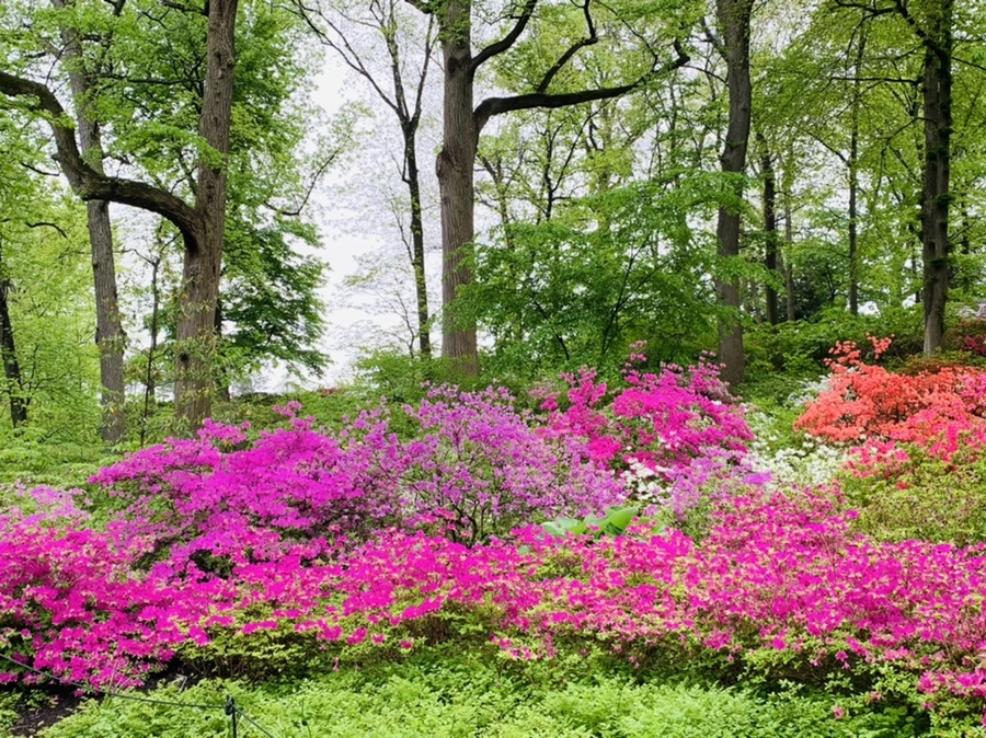 IMG_9936.jpg?type=w966