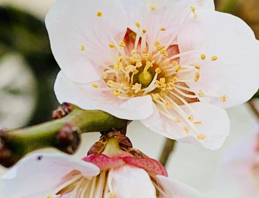 IMG_2790.jpg?type=w966