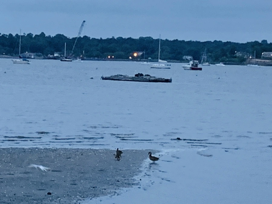 IMG_6726.jpg?type=w966