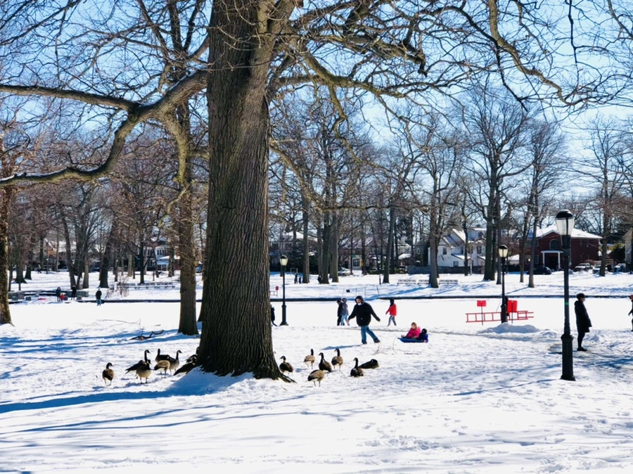 IMG_3985.jpg?type=w966