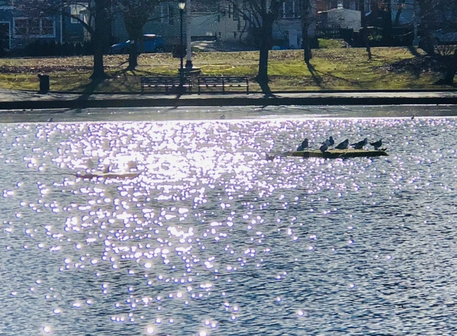 IMG_1226.jpg?type=w966