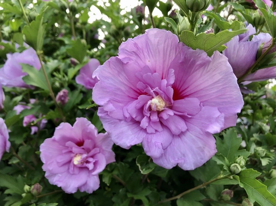 72UthdGkt3OPDYy-l8Q9pwCfNJI