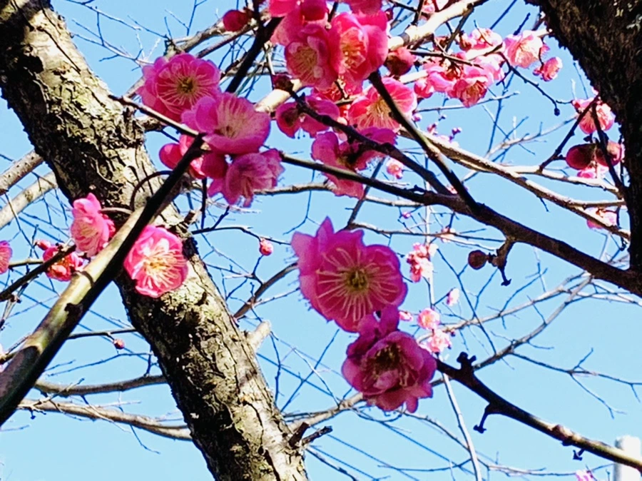 IMG_3015.jpg?type=w966