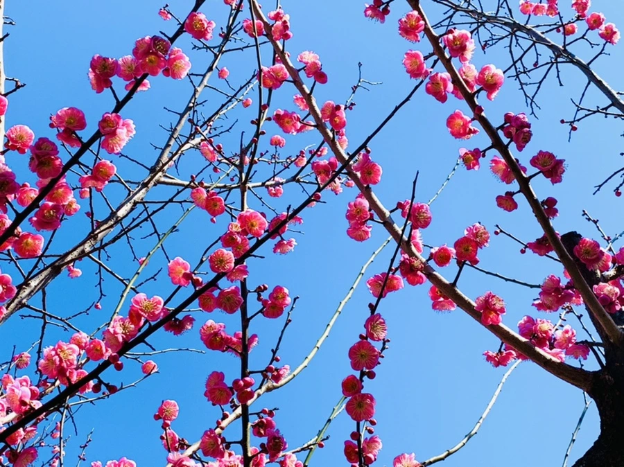 IMG_2995.jpg?type=w966