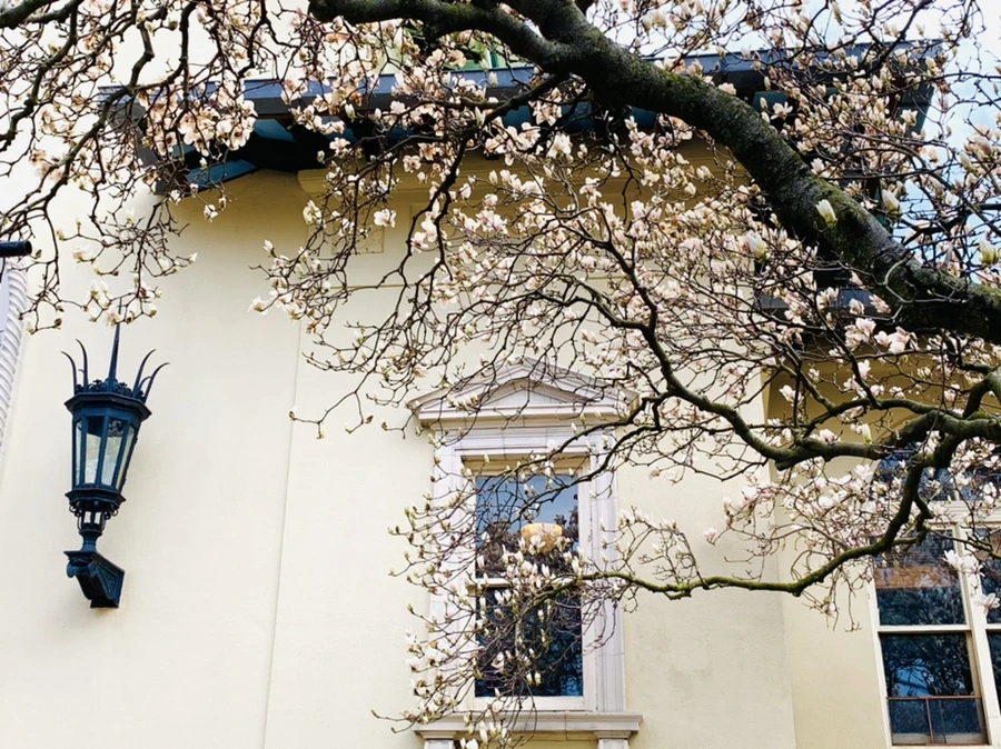 IMG_7214.jpg?type=w966