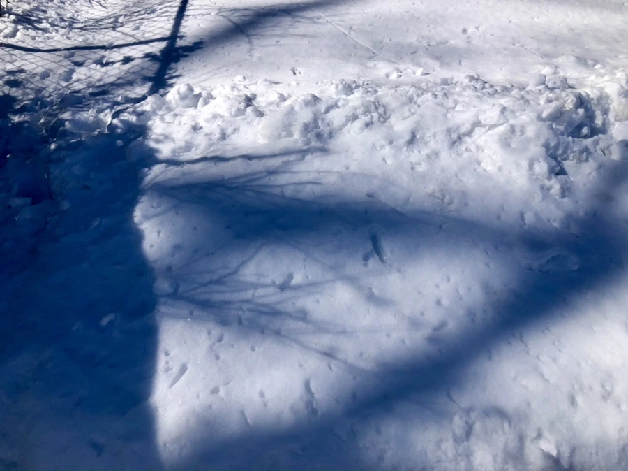 IMG_4002.jpg?type=w966