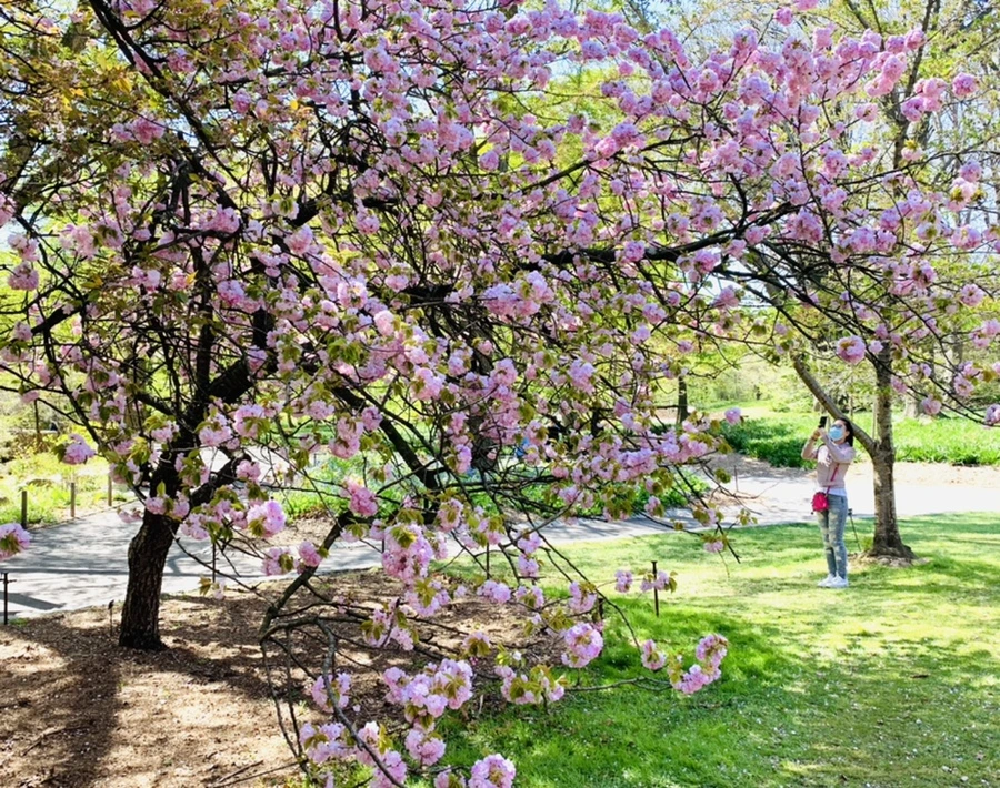 IMG_4605.jpg?type=w966