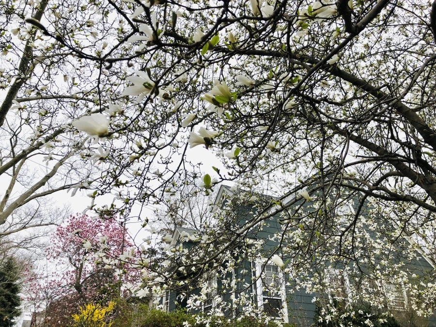 IMG_2752.jpg?type=w966