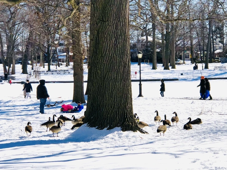 IMG_3987.jpg?type=w966