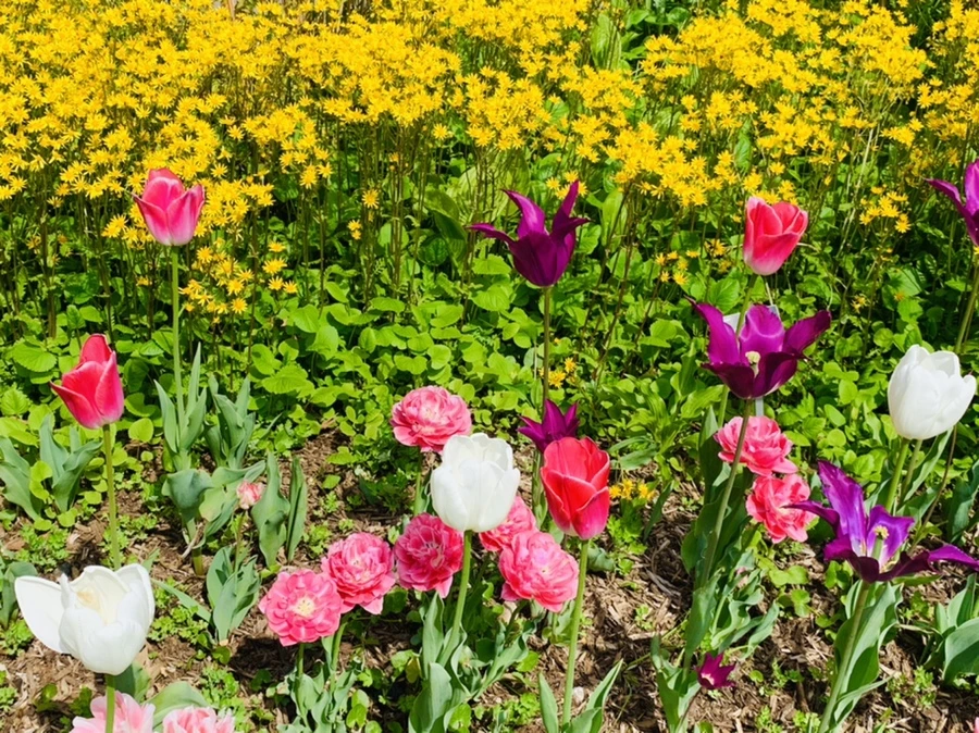 IMG_6898.jpg?type=w966