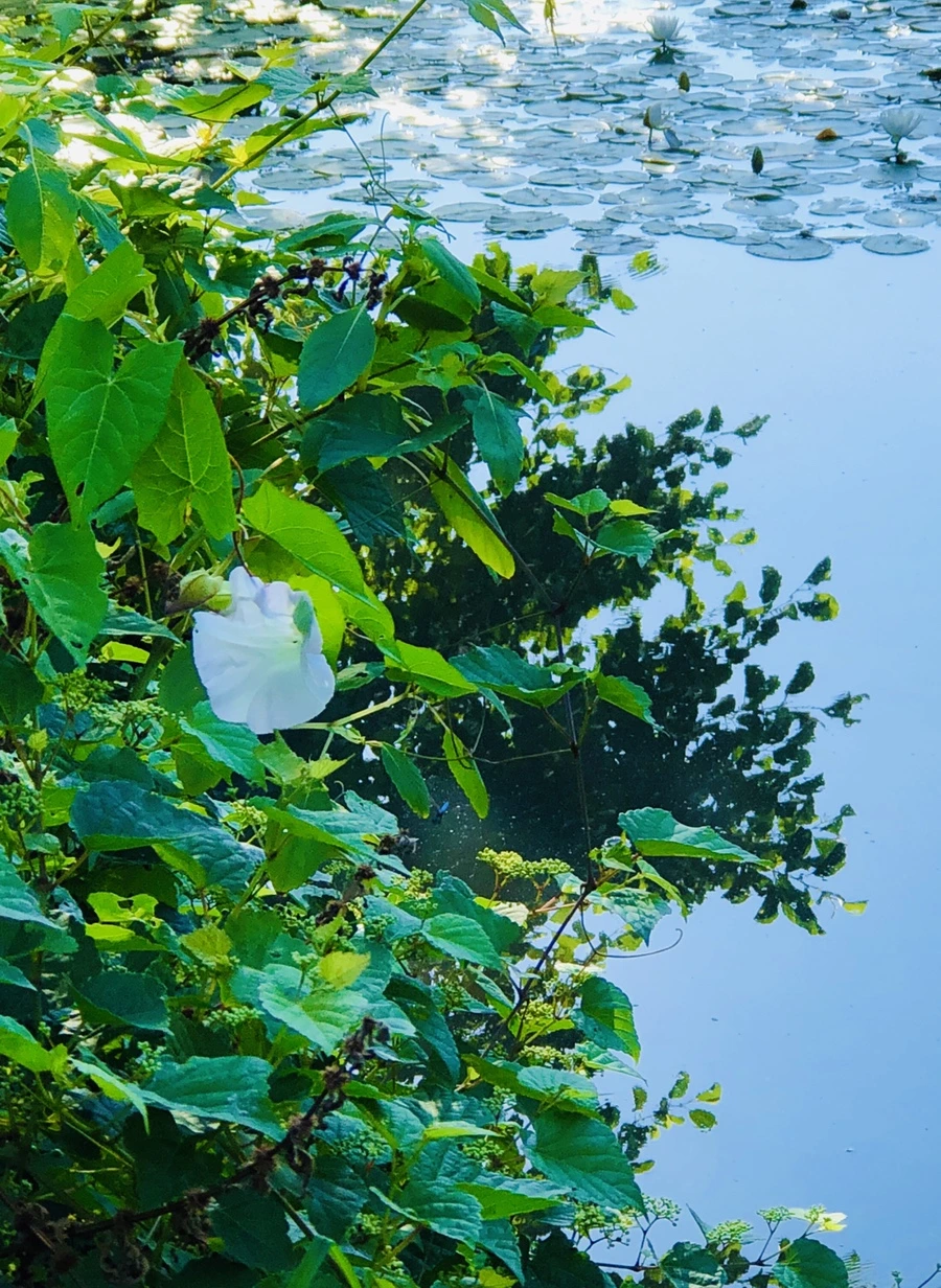 IMG_3982.jpg?type=w966