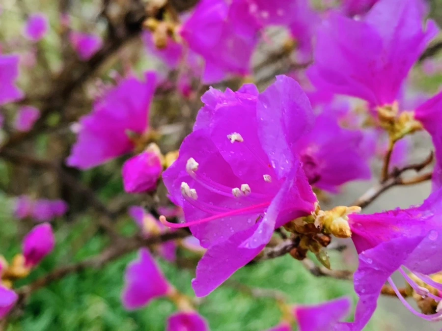 IMG_4839.jpg?type=w966