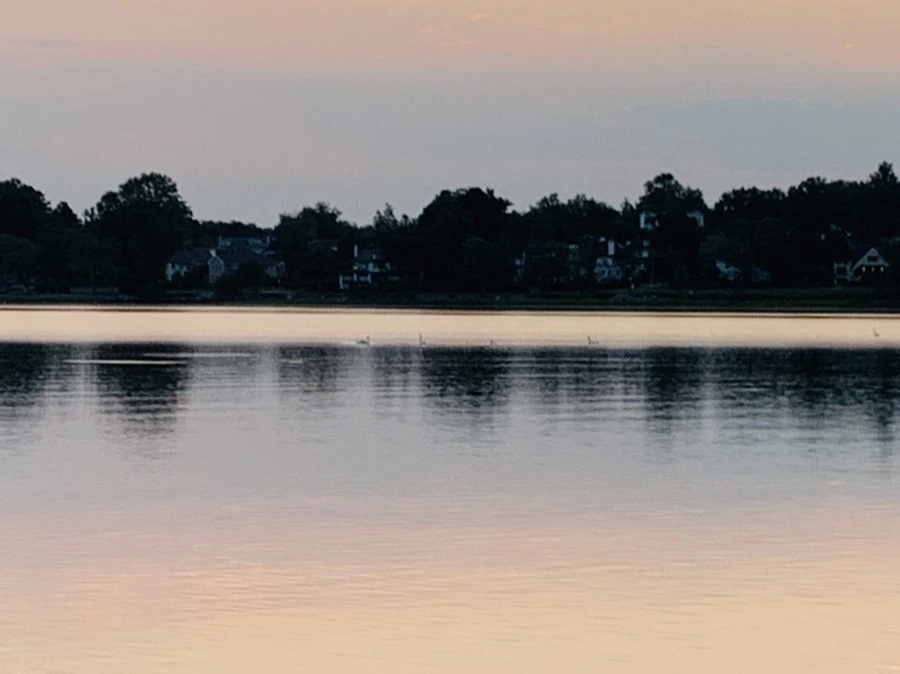 IMG_4592.jpg?type=w966