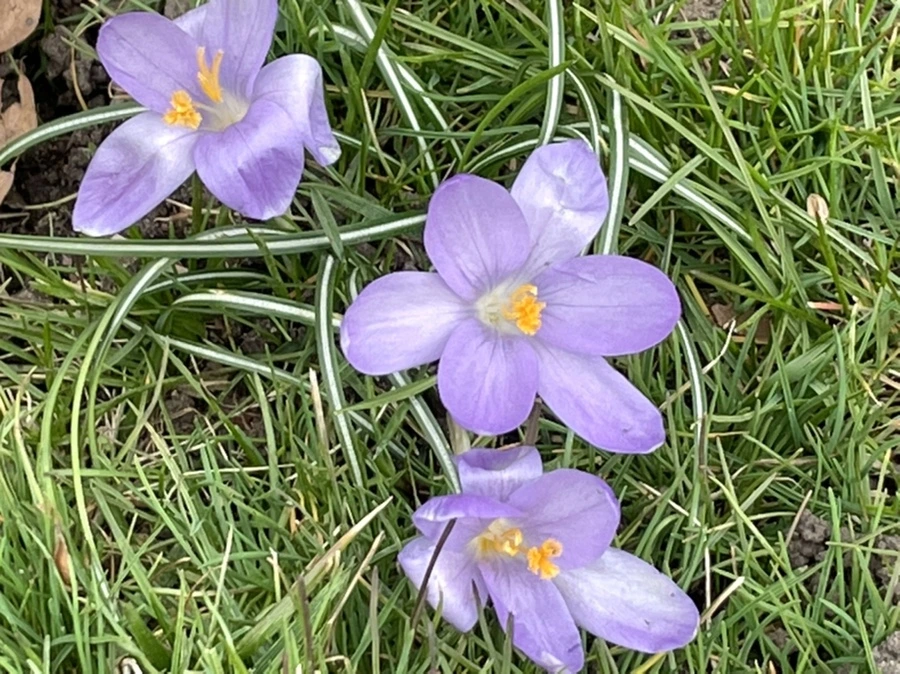 IMG_4065.jpg?type=w966