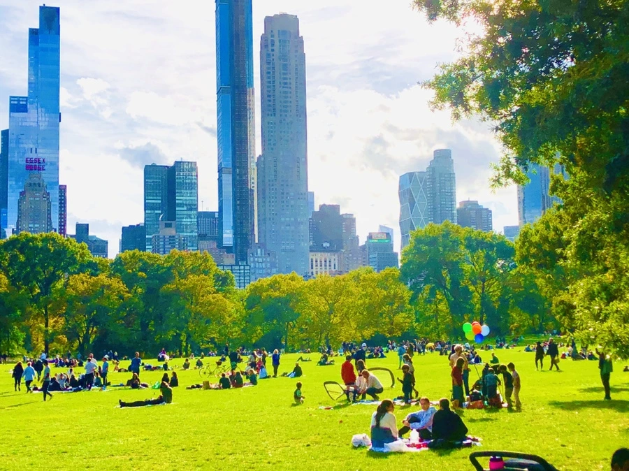 IMG_2117.jpg?type=w966