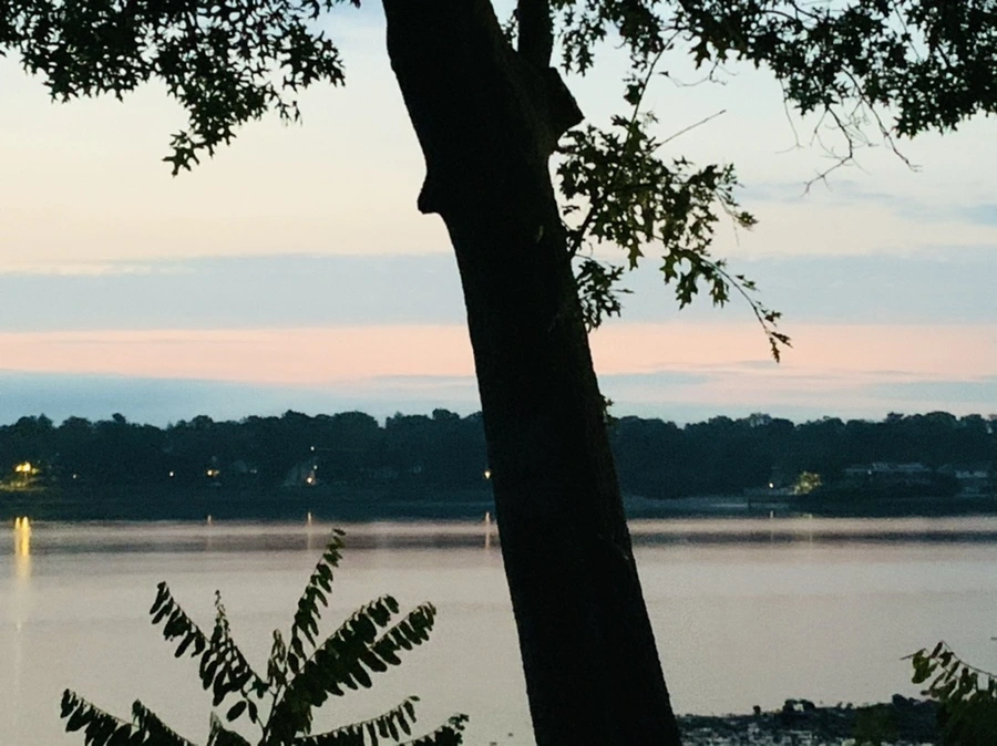 IMG_9413.jpg?type=w966