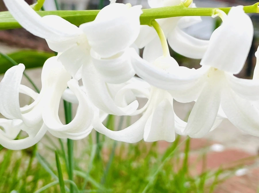 IMG_2417.jpg?type=w966