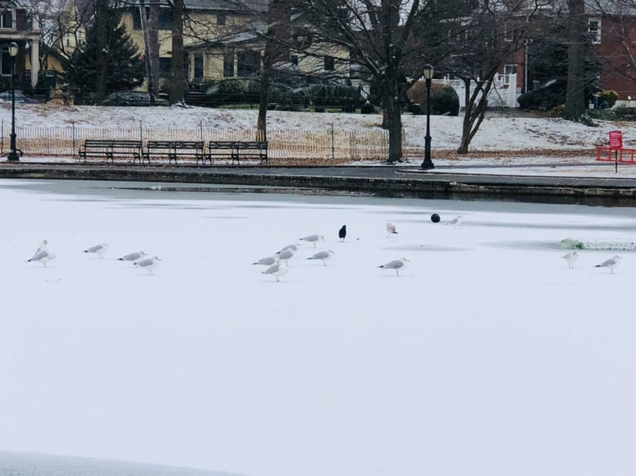 IMG_6160.jpg?type=w966