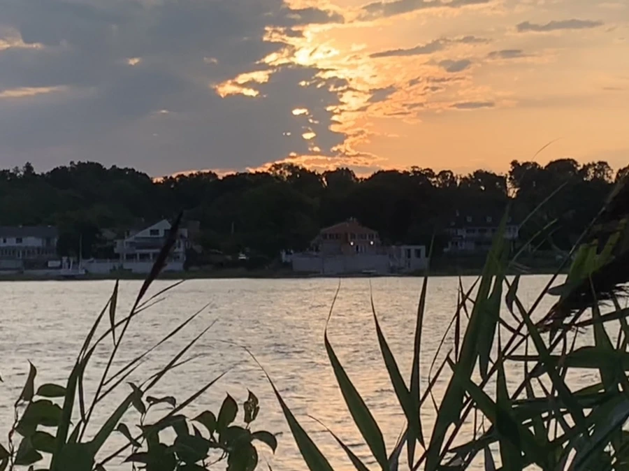 IMG_1767.jpg?type=w966