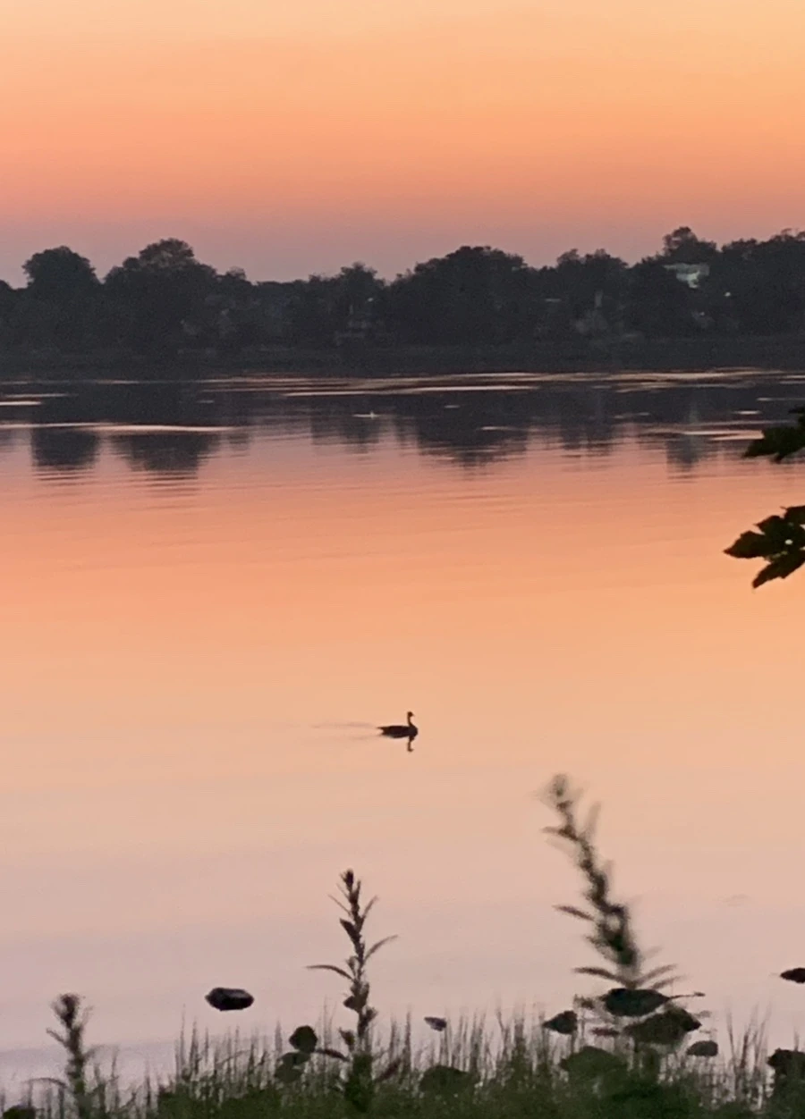 IMG_4323.jpg?type=w966