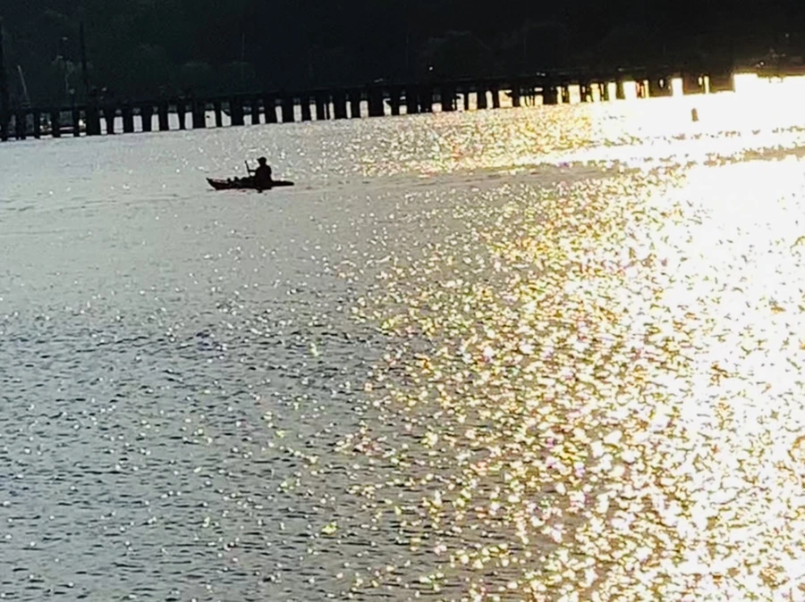 IMG_1294.jpg?type=w966