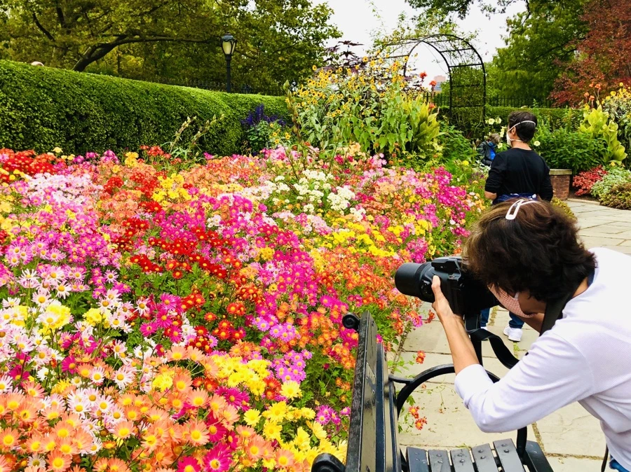 IMG_2470.jpg?type=w966