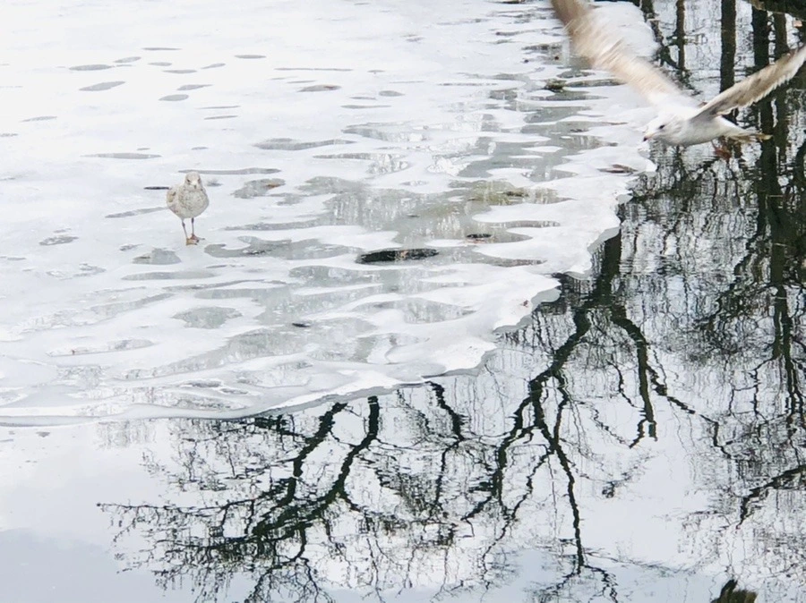 Uxi4Z8yLb3XHUX_aj-DCsTDlT88