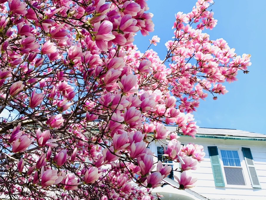 IMG_8578.jpg?type=w966