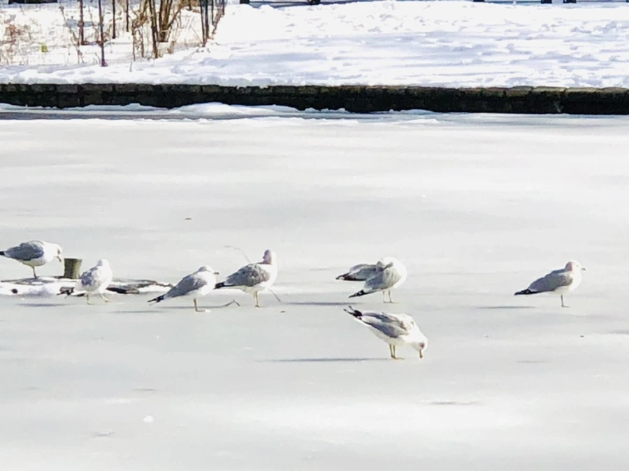 IMG_0178.jpg?type=w966