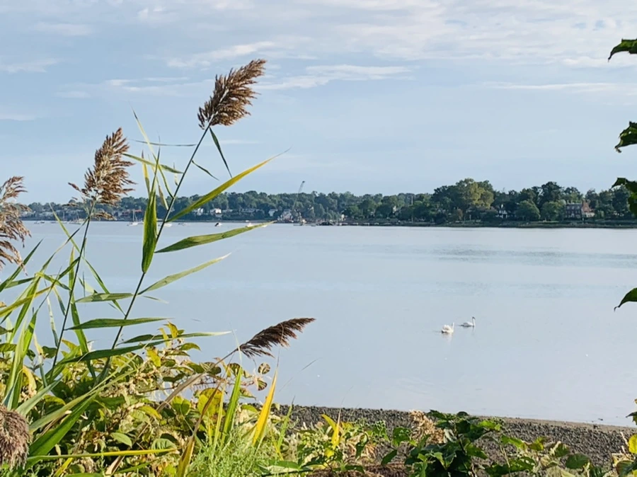 IMG_7821.jpg?type=w966