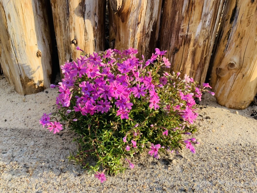 IMG_3621.jpg?type=w966