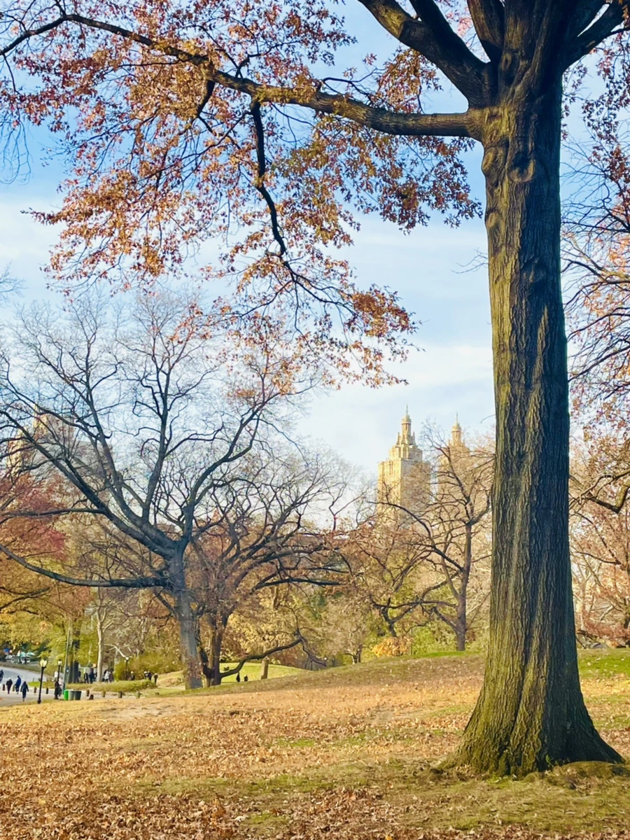 IMG_5594.jpg?type=w966