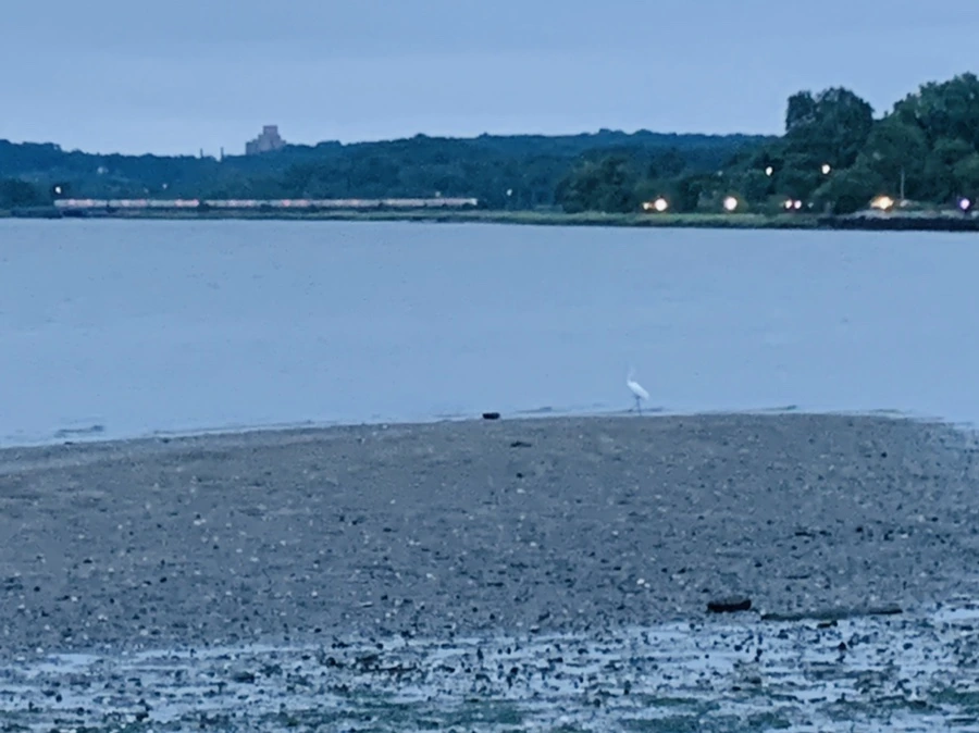 IMG_6720.jpg?type=w966