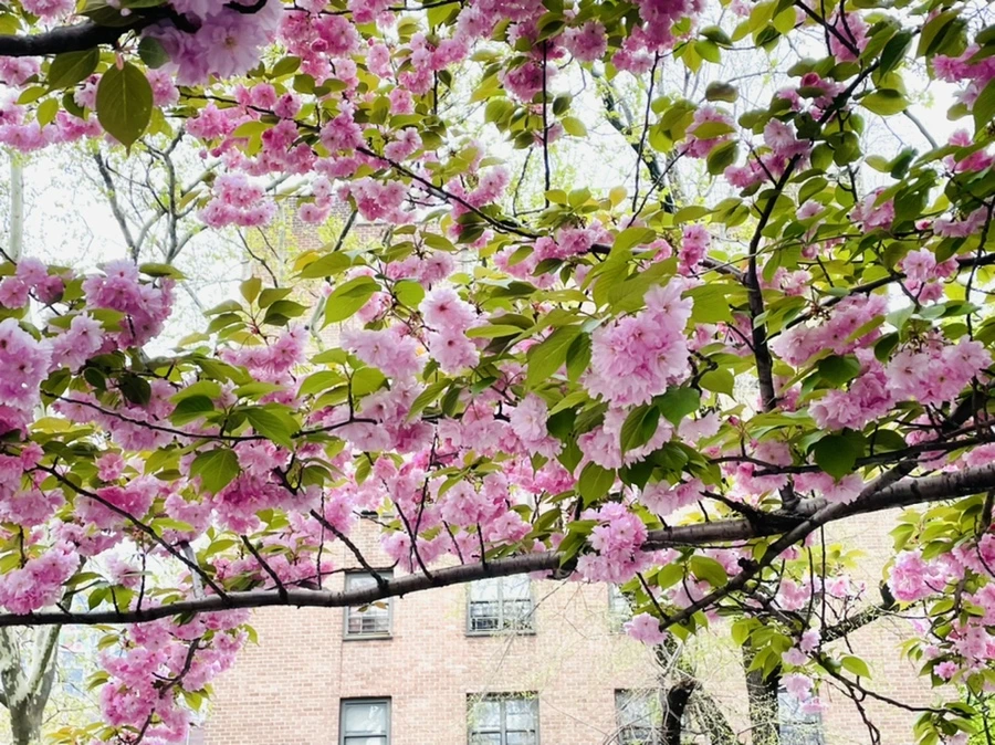 IMG_2522.jpg?type=w966